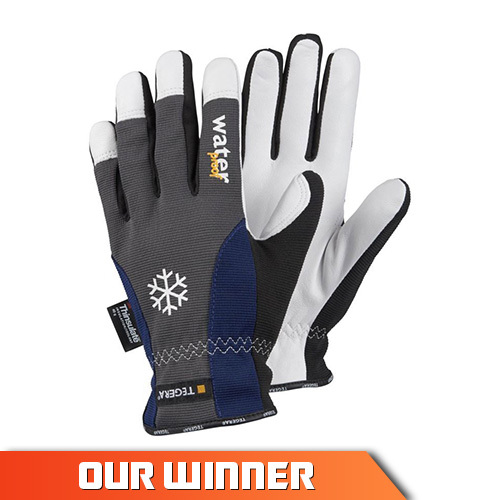 Ejendals Tegera 295 Insulated Waterproof Gloves